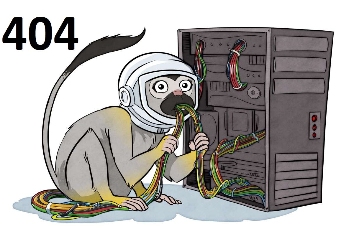 404